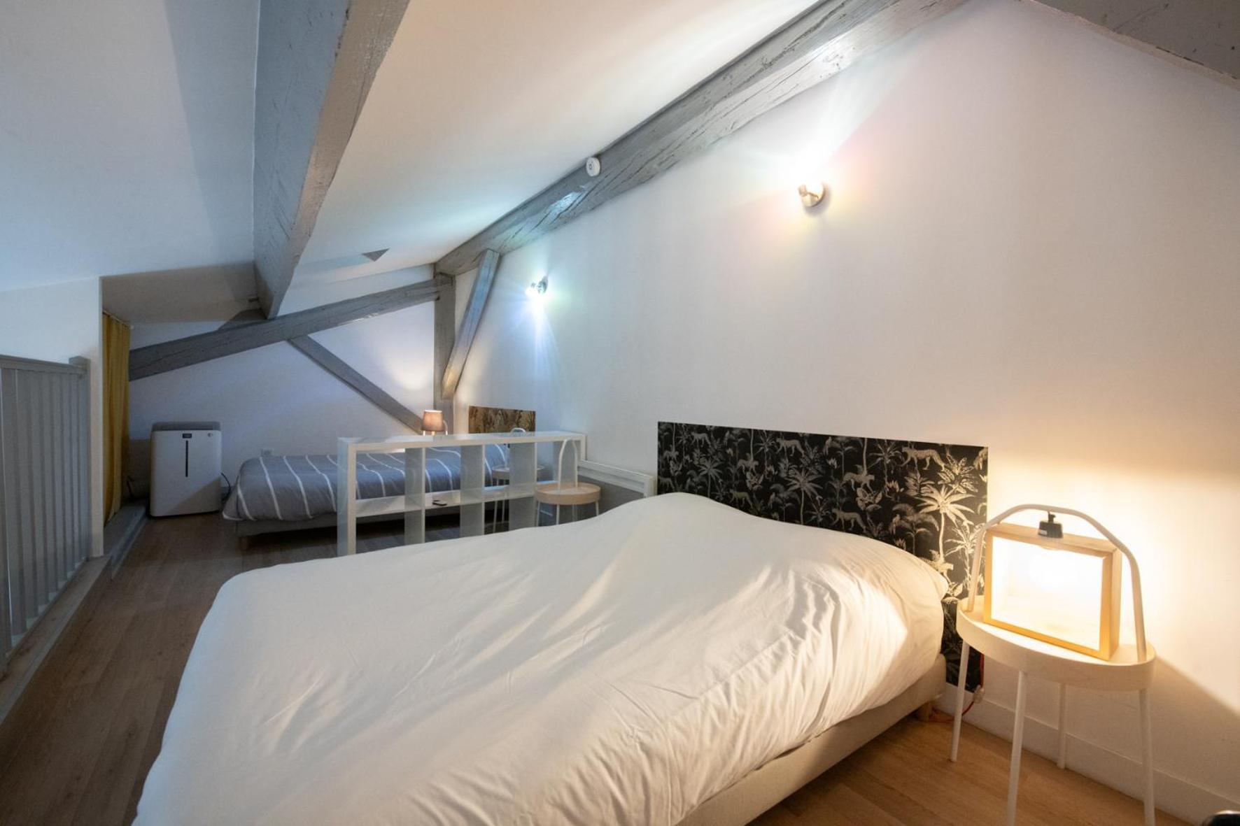 Loft Scandinave Cosy Et Hitech à Part-dieu Appartement Lyon